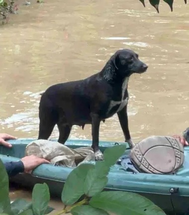 rescate en Poza Rica Veracruz